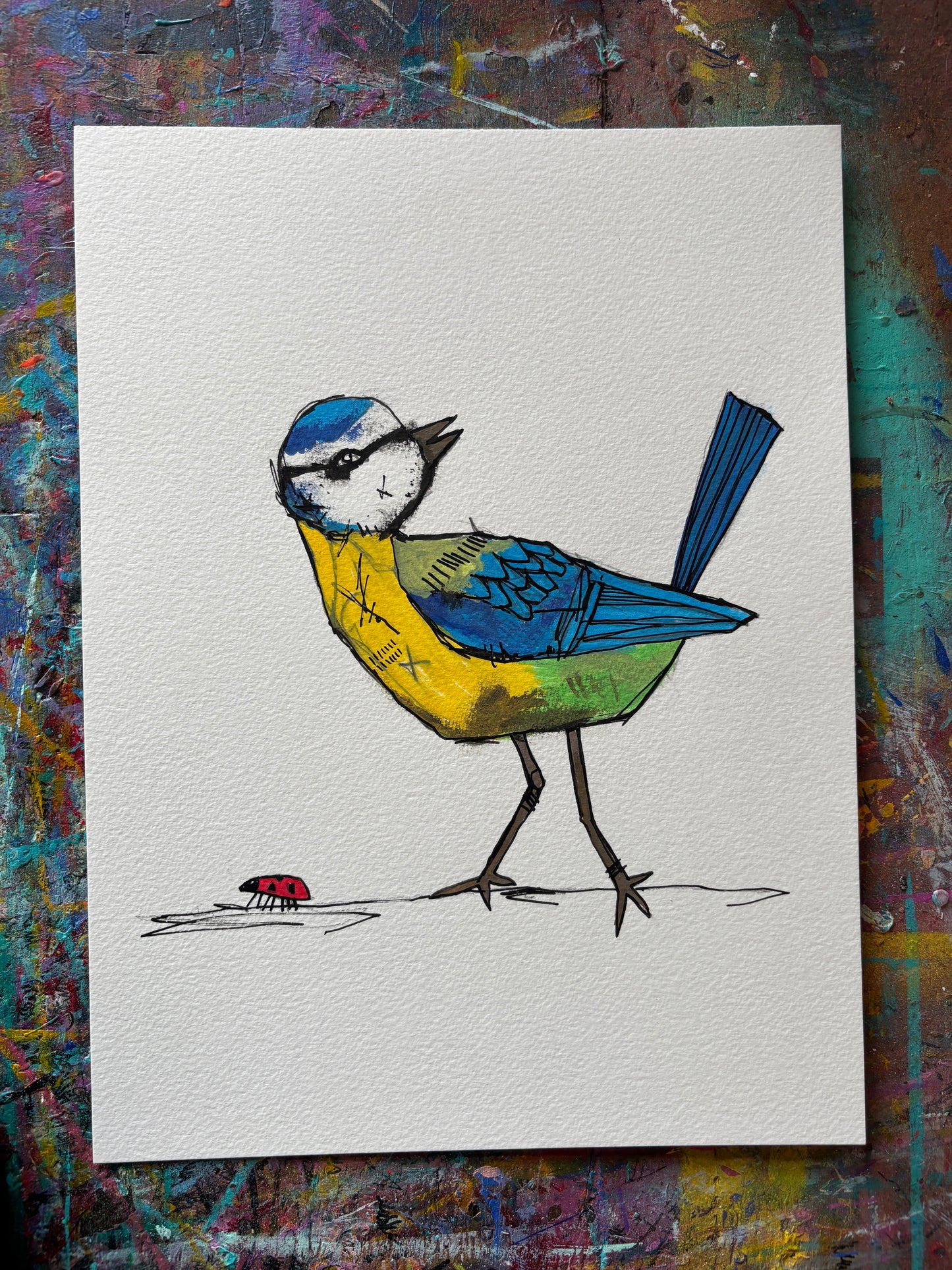 Blue Tit sketch on 9x12" Watercolour paper