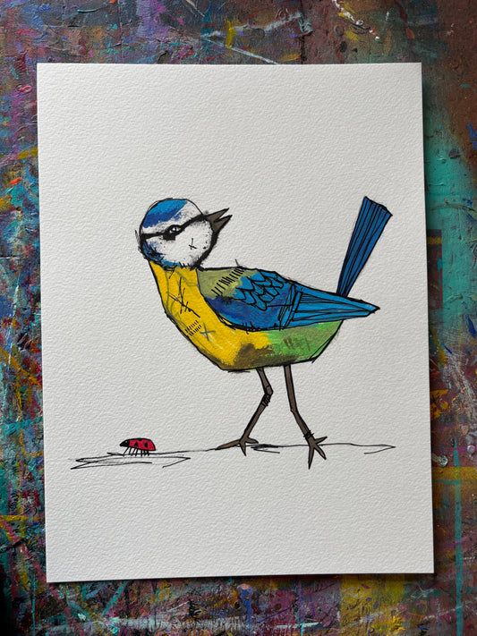 Blue Tit sketch on 9x12" Watercolour paper